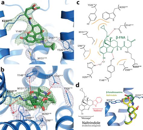 PDB 4dkl Citation Summary Protein Data Bank In Europe PDBe EMBL EBI