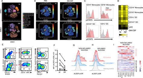 Neutralizing Anti Granulocyte Macrophage Colony Stimulating Factor