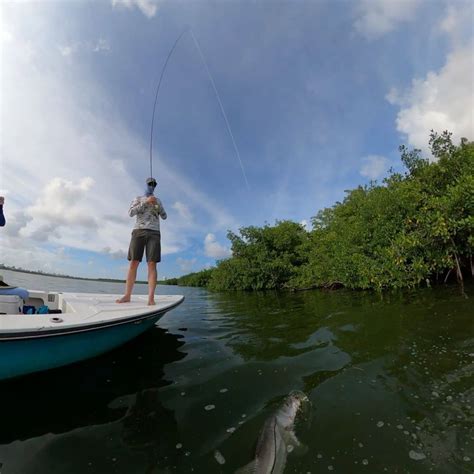 Ultimate Guide to Fishing in Puerto Rico