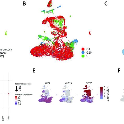 Single Cell Rna Sequencing Displays The Proportion Of Three Different