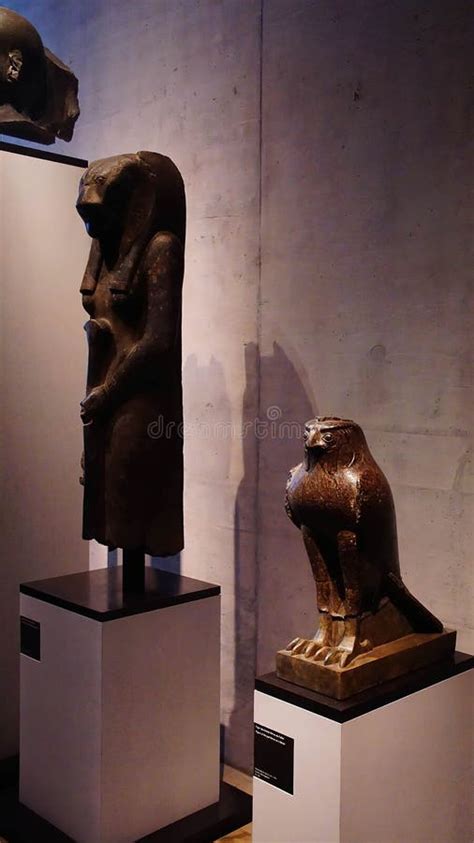 Falcon Statue of the God Horus Editorial Photography - Image of statue ...