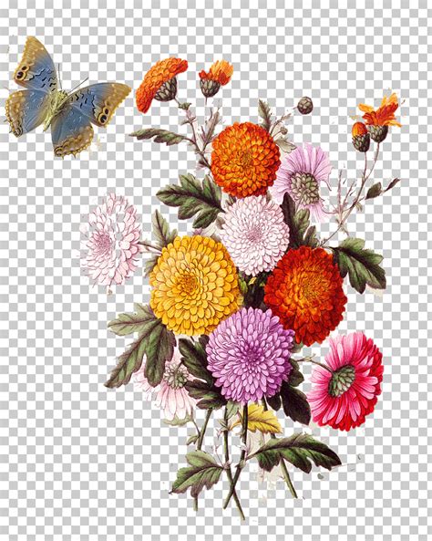 Flower Collage Stock illustration Photography, European aesthetic ...