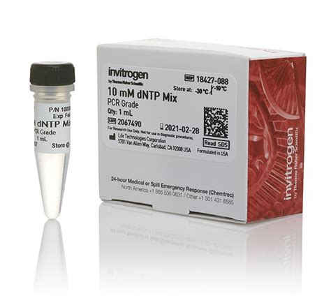 Invitrogen DNTP Mix 10 MM Ea PCR Equipment And Supplies PCR Supplies