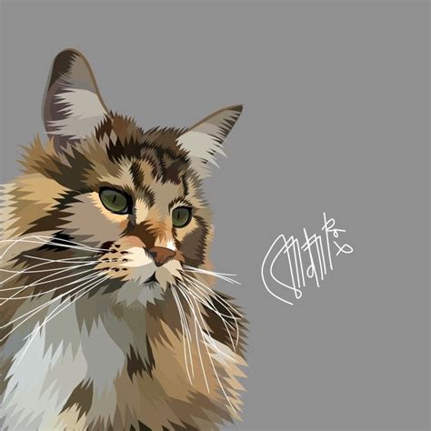 A Close Up Of A Cats Face On A Gray Background With The Word Cats