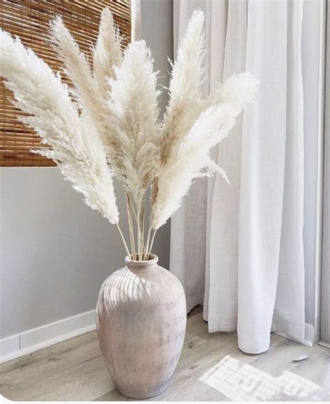 Buy Pampas Grass Large White White Pampas Grass Fluffy Type Pcs