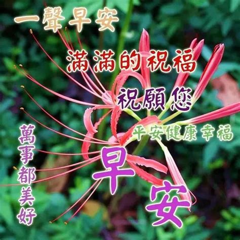 早安吉祥：第一個願望送給你，願你永遠幸福又溫馨，早安 每日頭條