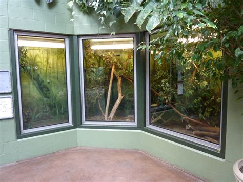 Tropics Building Golden Lion Tamarin Exhibit Zoochat