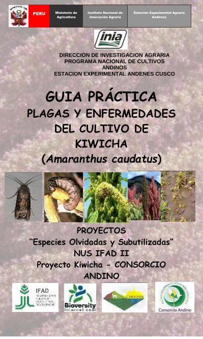 Pdf Plagas Y Enfermedades Del Cultivo De Quinua Pe Wp Content