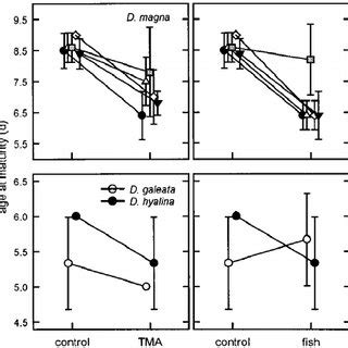 Size Of The First Clutch Comparison Of Reaction Norms To TMA And To