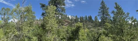 Junction Creek Campground Via Junction Creek Trail Colorado