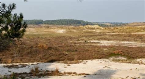 Terugblikken Op 2023 Met De Boswachter Schoorlse Duinen