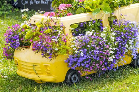 Jardini Res De Plantes Fleuries Originales Pour L T Fleur