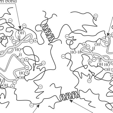 Schematic Model Of The Formation Of A Complex Carrageenan Gelatin Gel