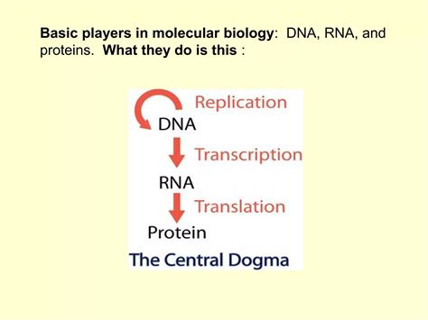 BASICS OF MOLECULAR BIOLOGY | PPT