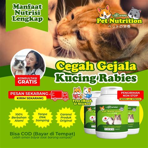 Jual Vitamin Penyembuh Rabies Pada Kucing Dan Anjing Hewane Pet