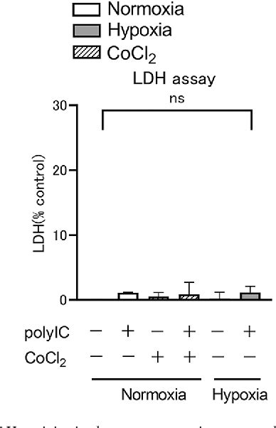 Figure 1 From Hypoxia Inducible Factor 1α Suppresses The Innate Immune