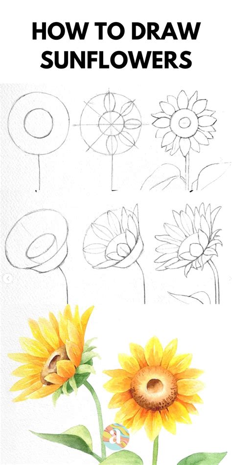 How To Draw Flowers Artofit