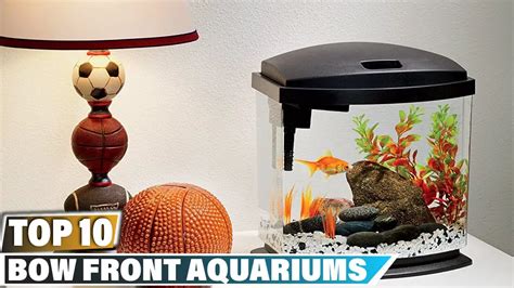 46 Gallon Bow Front Aquarium Hood: Features and Benefits - Aquariumia