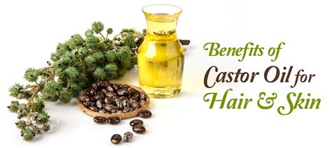 Benefits Of Castor Oil For Hair Skin Medplusmart