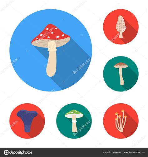 Poisonous And Edible Mushroom Flat Icons In Set Collection For Design