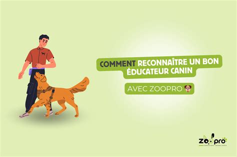 Comment Reconna Tre Un Bon Ducateur Pour Chien