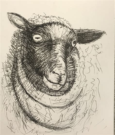 Henry Moore Sheep Sheep Art Sheep Drawing Ink Pen Drawings