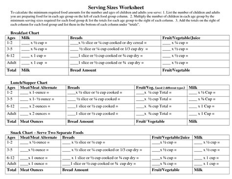 14 Food Group Matching Worksheet