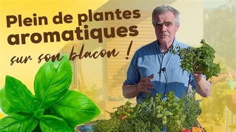 Cultivez Un Jardin Dherbes Aromatiques Sur Le Balcon PlanteConseil