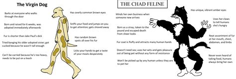 [Revised] Virgin Dog vs Chad Feline : virginvschad