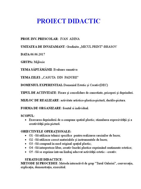 proiect didactic dec pictura