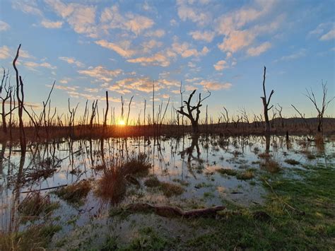 Winton Wetlands The Largest Wetland Restoration Project In The