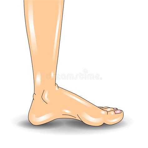 A Male Foot From Above Vector Illustration Stock Vector Illustration