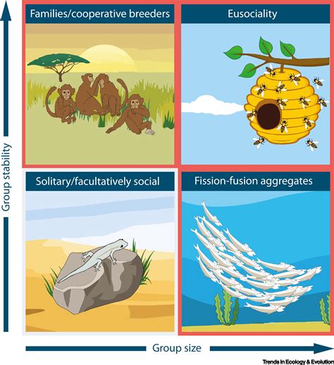 Effects Of Water Pollution On Animals