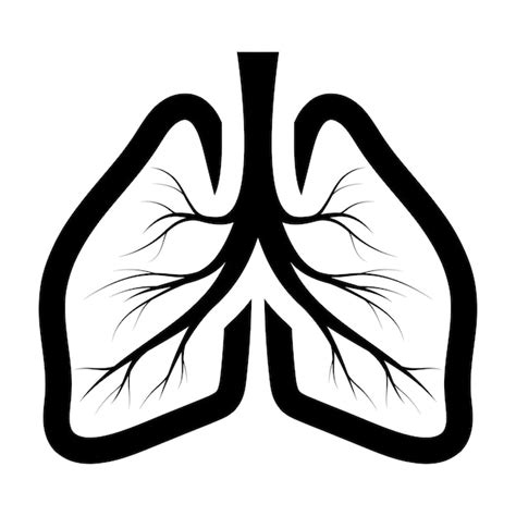 Premium Vector Lungs Icon Isolated On White Background