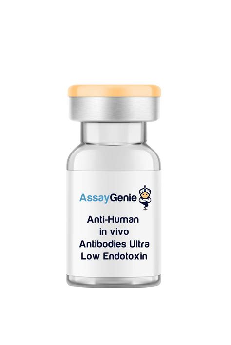 Anti Human Hla Dr Mhc Class Ii In Vivo Antibody Ultra Low Endotoxin