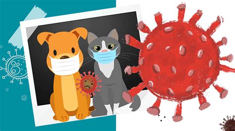 Coronavirus En Perros Y Gatos No Afecta A Humanos UNAM Global