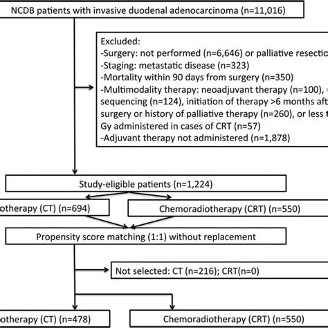 Patient Selection Flow Diagram Crt Indicates Chemoradiotherapy Ct