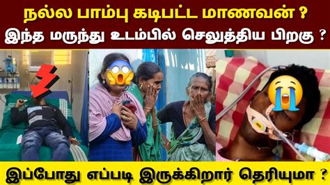 பாம்பு கடித்ததை வெளியே சொல்லாமல் இருந்த மாணவன் மருத்துவர் சொன்ன அதிர்ச்சி தகவல்கள் Youtube