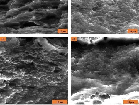 SEM Images Of Fractured Surface Of The Mg Li Layer Used In Fabricating