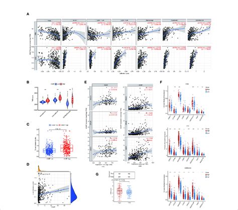 Analysis Of The Correlations Between Hepcidin Expression And Immune