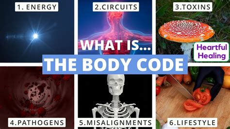 What Is The Body Code Youtube