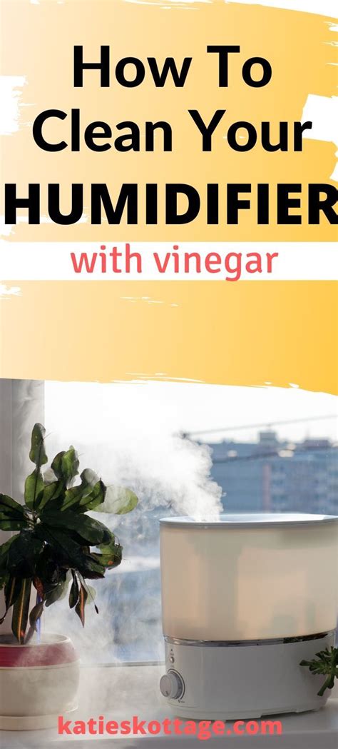 How To Clean A Humidifier And Why You Should Use One Artofit