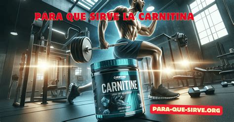 Para Qué Sirve La Carnitina En El Gym Suplemento Para El Fitness 2025