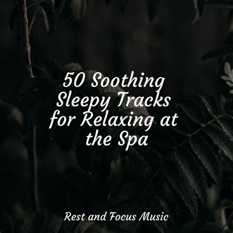 Soothing Sleepy Tracks For Relaxing At The Spa Album By