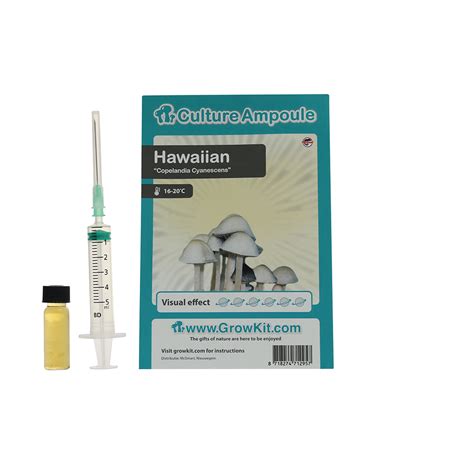 Hawaiian Magic Mushroom Spore Syringe Copelandia Cyanescens