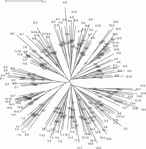 A Dendrogram Built By Means Of Neighbor Joining Method For Samples