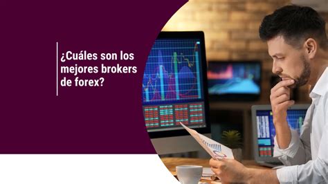 ¿cuáles Son Los Mejores Broker De Forex 6 Opciones Listas Para Escoger