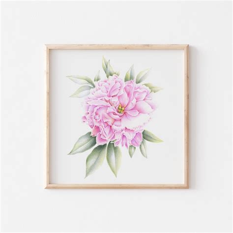 Pfingstrose Druck Pink Floral Print Druckbare Pfingstrosen Druckbare