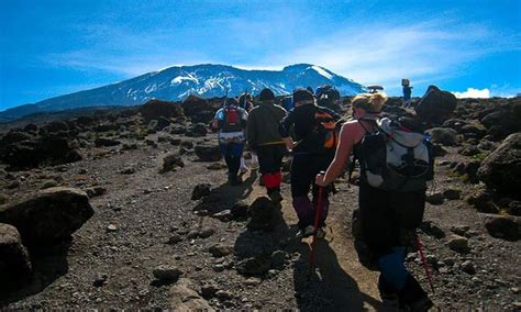 Jours D Ascension Du Kilimandjaro Par La Route De Rongai Getyourguide