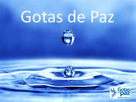 Gotas De Paz Gotas De Pazgotas De Paz